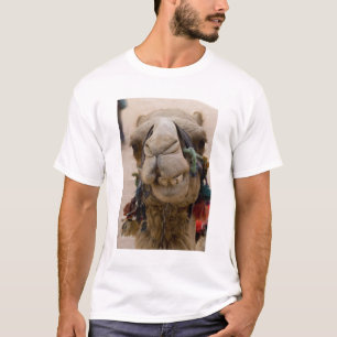 Jordan, antike nabatäische Stadt Petra T-Shirt
