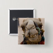 Jordanien, antike nabataische Stadt Petra Button (Vorne & Hinten)