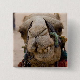 Jordanien, antike nabataische Stadt Petra Button