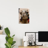 Jordanien, antike nabatäische Stadt Petra. Lokale Poster (Heimbüro)