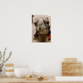 Jordanien, antike nabatäische Stadt Petra. Lokale Poster (Küche)