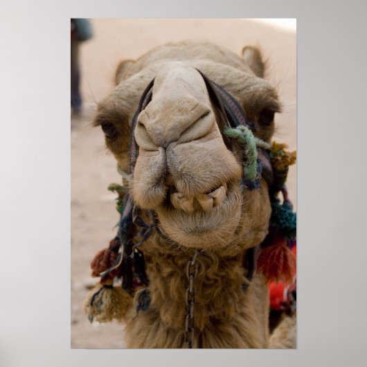 Jordanien, antike nabatäische Stadt Petra. Lokale Poster (Vorne)