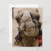 Jordanien, antike nabatäische Stadt Petra. Lokale Postkarte (Vorne/Hinten)