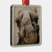 Jordanien, antike nabataische Stadt Petra Silbernes Ornament (Rechts)