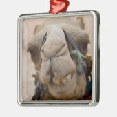 Jordanien, antike nabataische Stadt Petra Silbernes Ornament (Links)