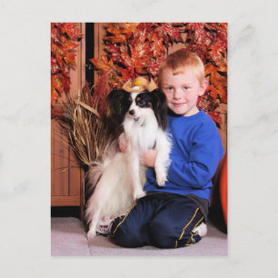 Jordy - Papillon - Numkena Postkarte