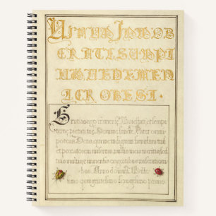 Joris Hoefnagel Beetlelike Insekten 1562 Notizblock