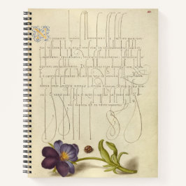 Joris Hoefnagel Ladybird und European 1562 Notizblock