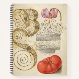Joris Hoefnagel Martagon Lily und Tomato 1562 Notizblock