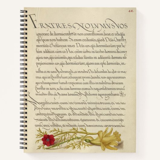 Joris Hoefnagel Pheasant's Eye and Buttercup 1562 Notizblock (Vorderseite)