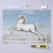 Joris Hoefnagel | Weißes Pferd - 1552 und 1601 Seidenpapier (Handwerk)