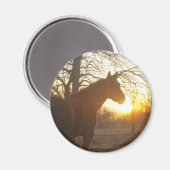 Jose benito magnet (Vorderseite/Rückseite)