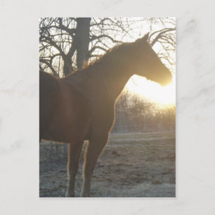 Jose Benito Postkarte