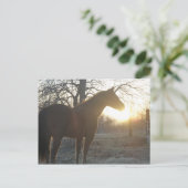 Jose Benito Postkarte (Stehend Vorderseite)