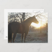 Jose Benito Postkarte (Vorne/Hinten)