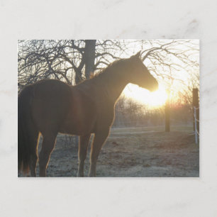 Jose Benito Postkarte