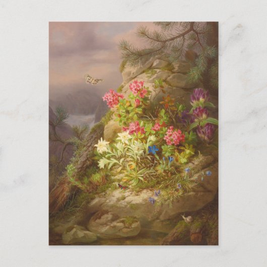 Josef Lauer Stillleben mit Blume und Schnecken Postkarte (Vorderseite)