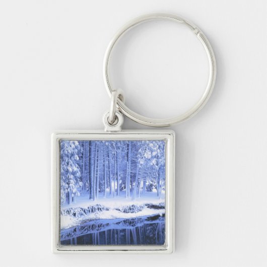 JOSEMITE NATIONAL PARK, KALIFORNIEN. USA.frisch Schlüsselanhänger (Vorne)