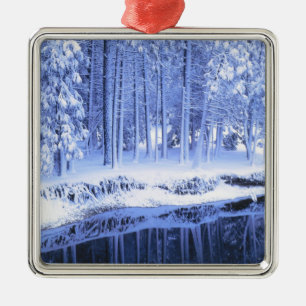 JOSEMITE NATIONAL PARK, KALIFORNIEN. USA.frisch Silbernes Ornament