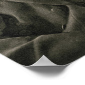 Joseph Chamberlain Poster (Ecke)