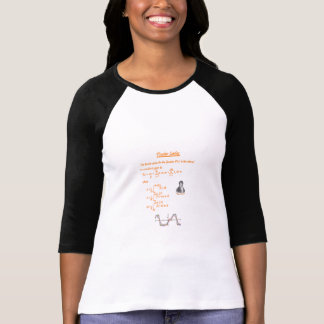 JOSEPH FOURIER UND FOURIER-REIHE T-Shirt