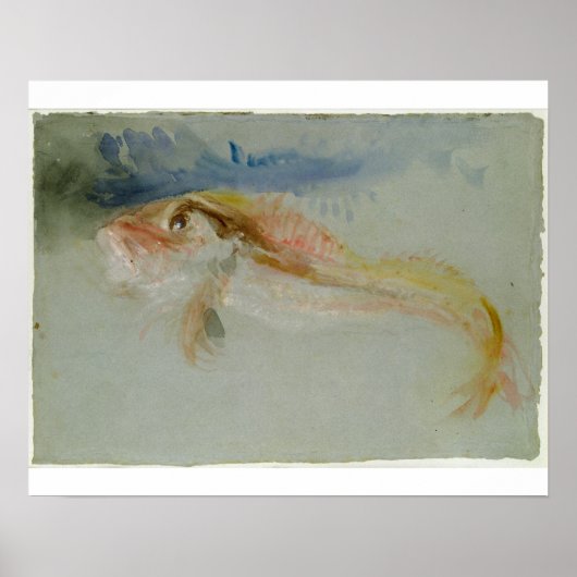 Joseph Mallord William Turner | A Gurnard Poster (Vorne)