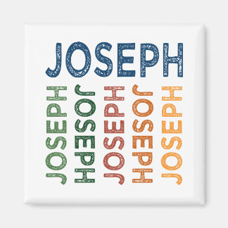 Joseph Niedlich Colorful Magnet