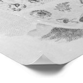 Joseph Pitton de Tournefort Poster (Ecke)