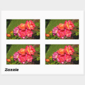 Joseph's Coat Rose #1-2 Stickers (Blatt)