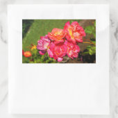 Joseph's Coat Rose #1-2 Stickers (Tasche)