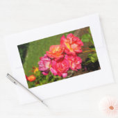 Joseph's Coat Rose #1-2 Stickers (Umschlag)