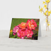 Joseph's Coat Rose #1 Card Karte (Gelbe Blume)