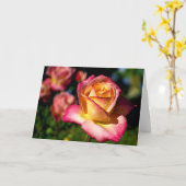 Joseph's Coat Rose Scripture Card Isaiah 26:3 Karte (Gelbe Blume)