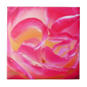 Josephs Mantel-Rose - Fliese (Vorderseite)