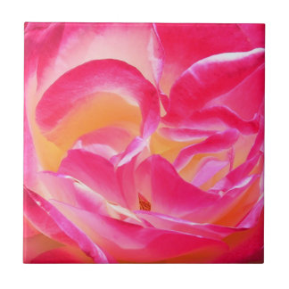 Josephs Mantel-Rose - Fliese