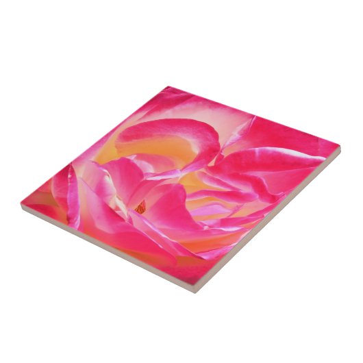 Josephs Mantel-Rose - Fliese (Seite)