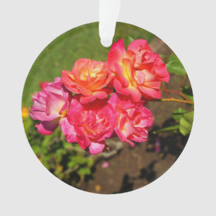 Josephs Verzierung der Mantel-Rosen-#1 Ornament