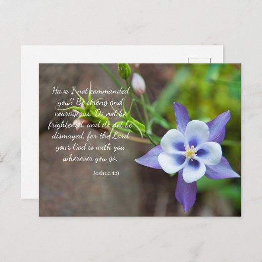Joshua 1:9 Lila Columbine Blume Postcard Postkarte (Vorne/Hinten)