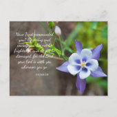 Joshua 1:9 Lila Columbine Blume Postcard Postkarte (Vorderseite)