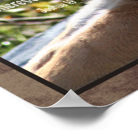 Joshua 1:9 Tiger Poster (Ecke)