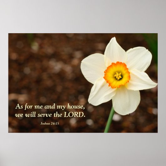 Joshua 24:15 Bibelverse Daffodil Poster (Vorne)
