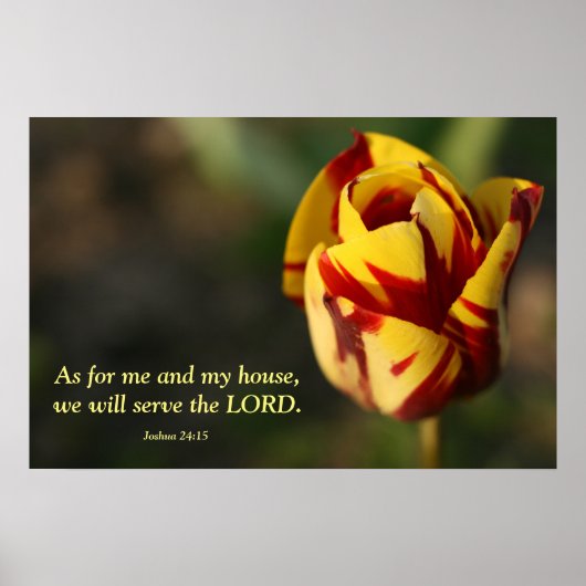 Joshua 24:15 Roter und Gelber Tulip Poster (Vorne)