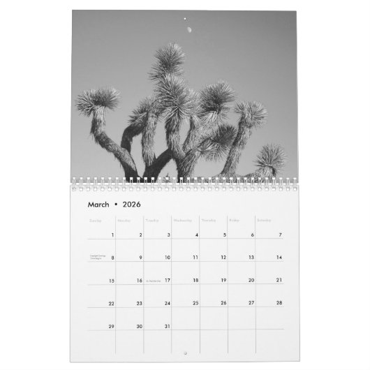 Joshua-Baum 2018 durch Julia Hanna Kalender (Mär 2026)