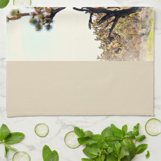 Joshua-Baum-Geschirrtuch Handtuch (Gefaltet)