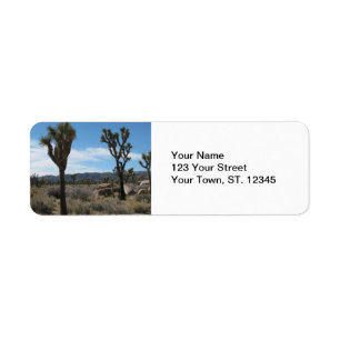 Joshua-Baum-Nationalpark