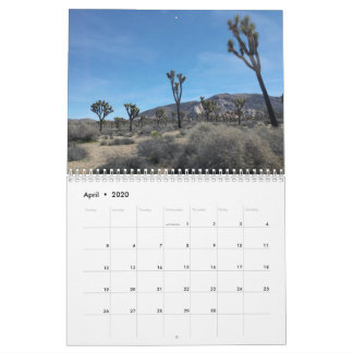 Joshua-Baum-Nationalpark 2020-Kalender Kalender