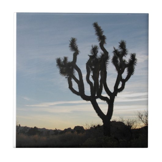 Joshua-Baum-Nationalpark Fliese (Vorderseite)