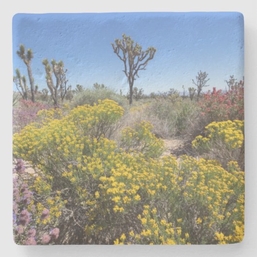 Joshua-Baum-Nationalpark in Bloom Steinuntersetzer (Vorderseite)