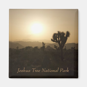 Joshua-Baum-Nationalpark Magnet