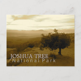 Joshua-Baum-Nationalpark Postkarte